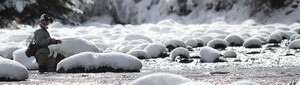 Guided Winter Fly Fishing Trips